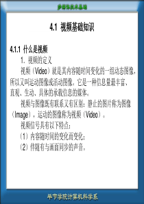 视频数字信息处理技术