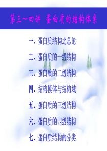 第05讲 蛋白质结构与功能的关系