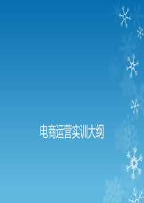 电商运营（PPT48页)
