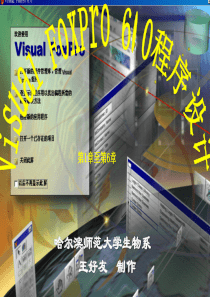 10级VFP6电子教案(1-6章)