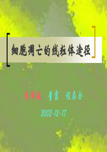 细胞凋亡的线粒体途径jsy1