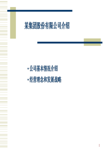 企业战略及企业文化(44页ppt)