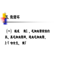 第八章  循环系统3
