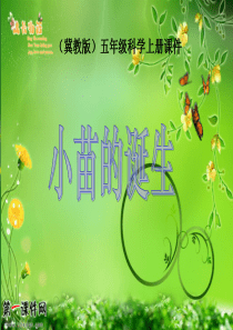 (冀教版)五年级科学上册课件_小苗的诞生_1