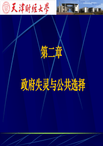 最新政府失灵与公共选择- 第十章税收理论