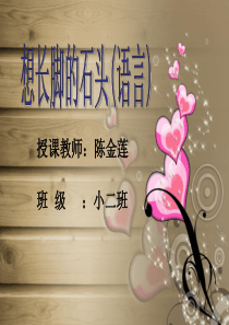 想长脚的石头演示文稿