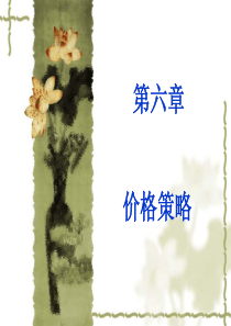 第六章_价格策略