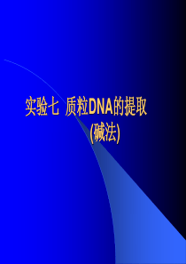 实验12-质粒DNA的提取