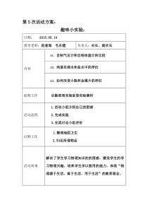 第5活动方案