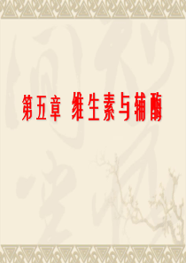 生物化学--第五章 维生素与辅酶