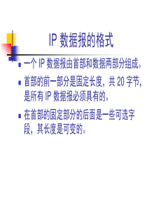 IP 数据报的格式