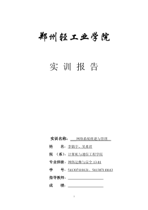 《网络系统组建与管理》实训报告
