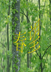 25杜甫 春望(朗读分析版)