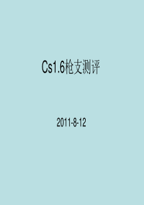 Cs武器评价