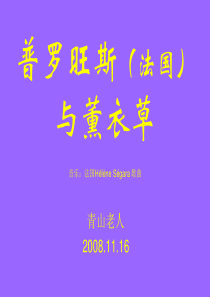 普罗旺斯(法国) 与薰衣草
