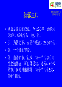 临床医学之脑性疾病 (10)