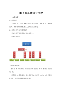 电商项目计划书