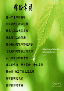 职业规划大赛优秀作品2