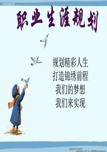 职业规划大赛参赛作品