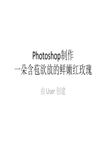 Photoshop制作一朵含苞欲放的鲜嫩红玫瑰