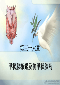 第36章 甲状腺药物