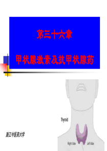 第36章甲状腺激素及抗甲状腺药