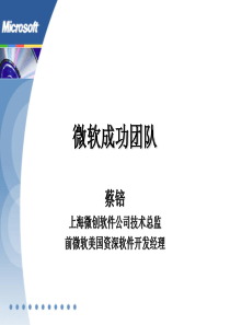 微软成功团队