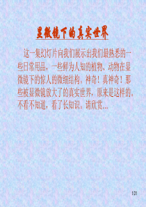 显微镜下的真实世界