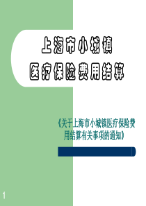 上海市小城镇医疗保险费用结算报告