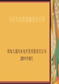 同步发电机励磁系统介绍