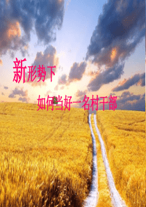 如何当好一名村干部