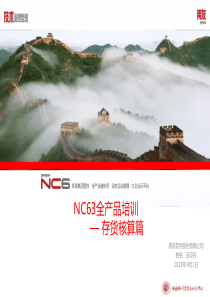 NC63全产品培训-存货核算
