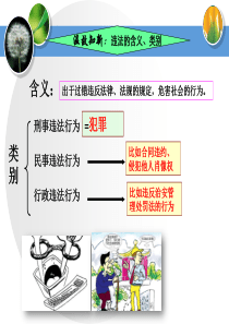 (新)第十课避免误入犯罪歧途