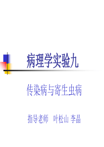 实验九 传染病与寄生虫病