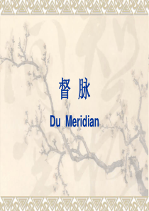 督脉,任脉 与经络美容