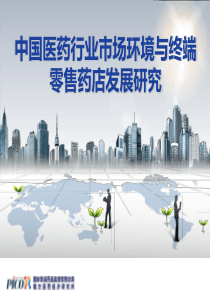 中国医药行业市场环境与终端零售药店发展研究