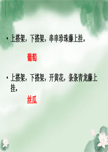 hong爬山虎的脚(上课)