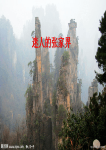 XXXX秋北京版语文《迷人的张家界》课件