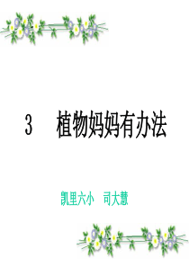 3  植物妈妈有办法___优秀课件[1]
