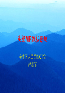 头部MR冠状断层