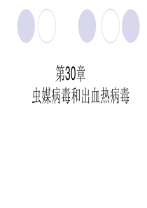 第30章 虫媒病毒