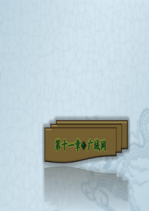 第11章 广域网