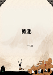 静物摄影的、