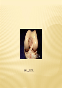 ACL损伤的治疗-文档资料