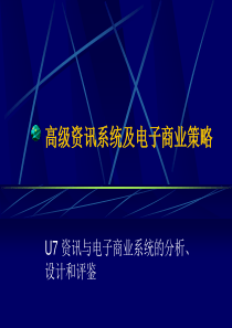 高级资讯系统及电子商业策略