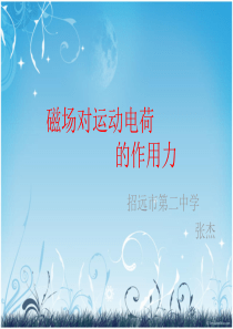 带电粒子在磁场中的受力