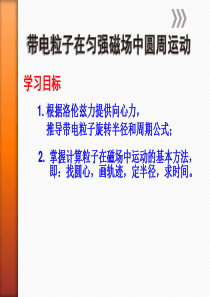 带电粒子在磁场中的圆周运动