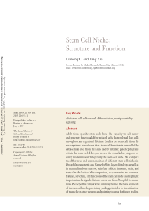 Stem Cell Niche Structure and Function