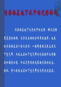 污染物在地下水系统中的迁移转化