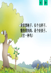 (50页)人教版一年级语文下册《乌鸦喝水》PPT课件